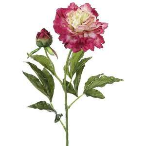Club Pack of 12 Artificial Pink Beauty Cream Peony Silk Flower Stems 
