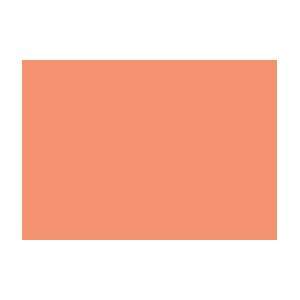   Soft Pastel   Box of 4   Light Orange 236.8 Arts, Crafts & Sewing
