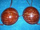 Coconut shell bra Authentic traditional Tahitian dance