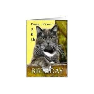    Birthday ~ Age Specific 20th ~ Cat in a box Card Toys & Games