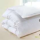 Wildon Home Majestic Cotton Goose Down Comforter in White   Size 