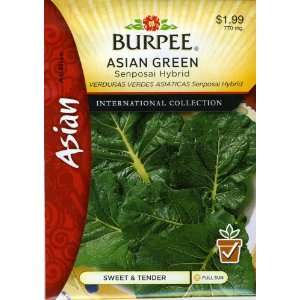  Burpee 69640 Asian   Oriental Greens Sanposai Hybrid Seed 