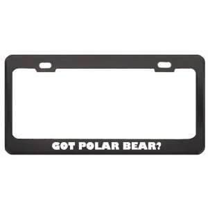 Got Polar Bear? Animals Pets Black Metal License Plate Frame Holder 
