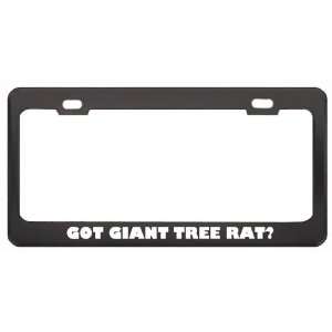  Got Giant Tree Rat? Animals Pets Black Metal License Plate 