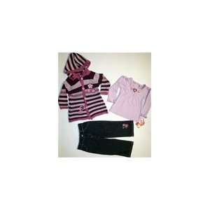 Young Heart Toddler Girls 3 Pcs. 2T 4T Purple Flower Sweater Set 