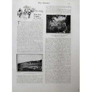  1902 Devon Somerset Staghounds Hunting Deer Horse Barle 