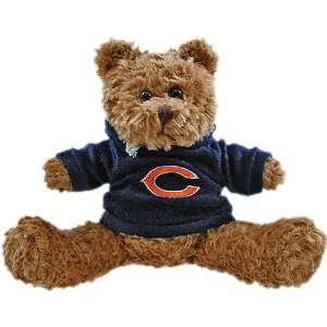  Champion Treasures Chicago Bears Hoodie Bear Sports 