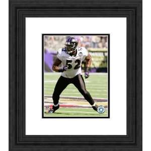  Framed Ray Lewis Baltimore Ravens Photograph Everything 