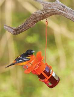 oriole jelly feeder comes with a large orange blossom top to attract 
