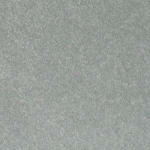 Platinum Plus Aspiring   Color Seafoam 12 ft. Carpet 5849 503 at The 