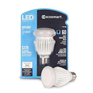 EcoSmart 13 Watt (60W) Cool White (5000K) A19 DayLight LED Light Bulb 
