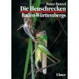 Die Heuschrecken Baden von Peter Detzel (Gebundene Ausgabe) (2)
