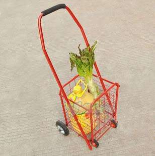 Mini Shopping Cart   Folding Grocery Toy Laundy Cart  