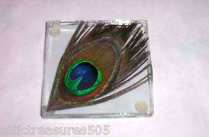 BEAUTIFUL REAL PEACOCK FEATHER COASTERS(SET OF 2)FAVORS  