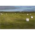 Poster 60 x 40 cm   Clouds hanging over field with hay bales in white 