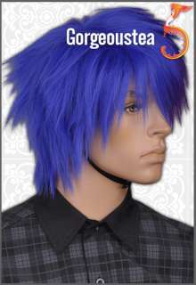 GW429 Blue Purple Showy Punk Psychobilly Mens Hair Wig  