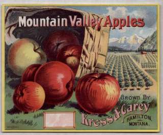 1910s MOUNTAIN VALLEY APPLE LABEL / MONTANA   L@@K  