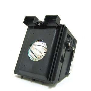  Replacement Lamps OEM Model B96 00826A Electronics
