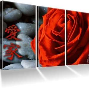 Rote Rose / Blume Bilder auf Leinwand mit Keilrahmen  Schwarz Weiß 