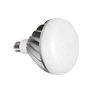   Dimmable   100 Watt Replacement   Warm White (2700K)   LED Light Bulb