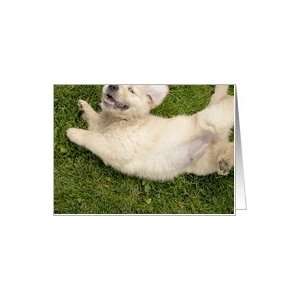  Wild Golden Retriever Puppy in the Grass Card Health 
