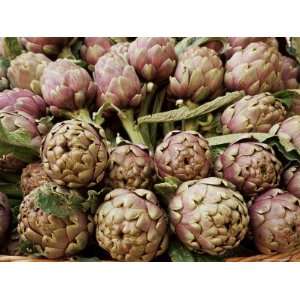  Artichokes in the Market, Venice, Veneto, Italy Stretched 