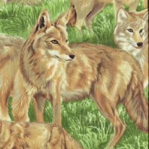 BACKYARD BANDITS COYOTES IN GRASS Cotton Quilt Fabric  