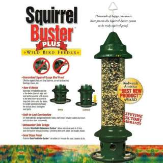   bird feeder our 1 best selling bird feeder hang a squirrel buster plus