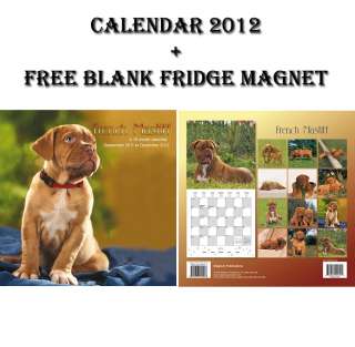 12 (305mm x 305mm) Month to View, Wire Stitched 16 Month Calendar 