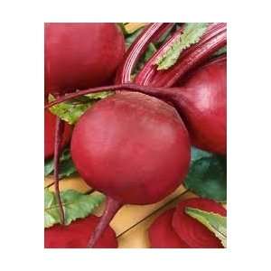  Todds Seeds   Beets  Ruby Queen Beet Seed, Sold by the 