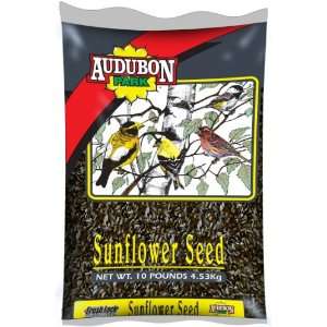   Bird and Critter Seeds and Grains Black Oil Sunflower Seed Bird Food