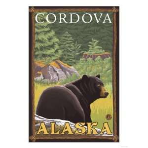 Black Bear in Forest, Cordova, Alaska Giclee Poster Print, 18x24