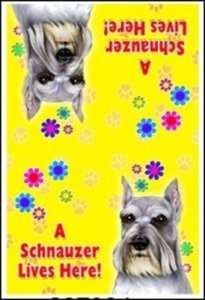 Schnauzer 18x18 Magnetic Dog Mailbox Cover  