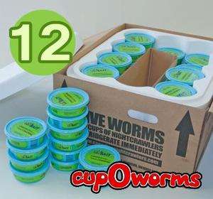   Nightcrawlers 45 cups/1 doz   live bait, fishing worms, pet feed