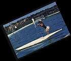 Postcard Marine Studios Dog Surfboard,Porp​oise,Florida