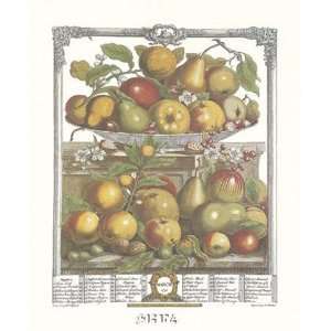  Twelve Months of Fruits, 1732/March by Robert Furber . Art 