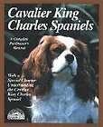 cavalier king charles book  