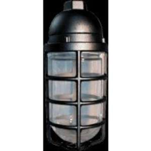   13W Cfl 120V Pendant 1 2 Black Glass Globe