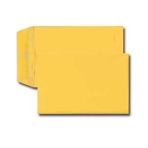   Catalog Envelope   70# Basis Gold (Box of 250)