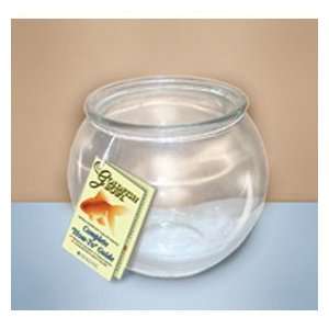  Imagine Round Glass Goldfish Bowl with Complete How To 