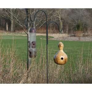   gourd is perfect for making birdhouses UNTREATED SEEDS Patio, Lawn