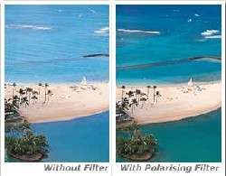 and polarizing filters are used to select which light rays