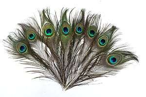 100 natural peacock tail feathers, about 10 inches  