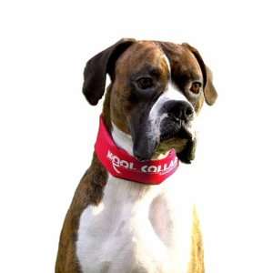  Kool Collar   Large in Red (Includes one replacement tube 