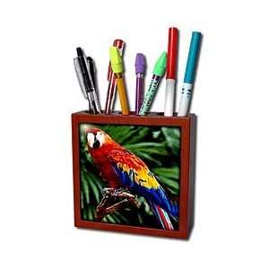  Birds   Scarlet Macaw   Tile Pen Holders 5 inch tile pen 