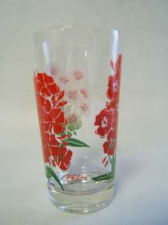 Peanut Butter Glass Phlox Red & White Flowers Red Name  