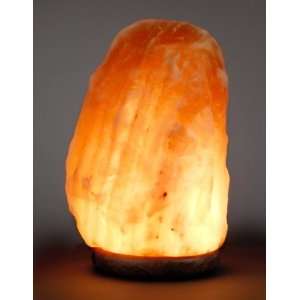  XL Extra Large Salt Lamp (10 14 Lbs.)