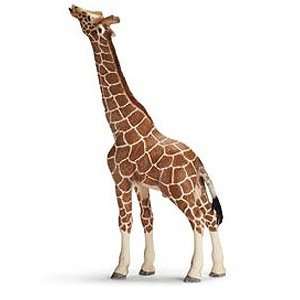  Schleich Giraffe Male Eating 14389 Toys & Games