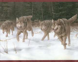 PACK OF WOLVES IN THE WILD Wallpaper Wall bordeR  