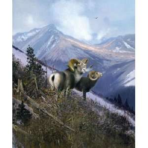   Coleman   On the Ospika   Stone Sheep Giclee on Paper